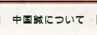 中国鍼について
