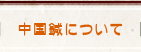 中国鍼について