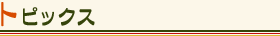�g�s�b�N�X
